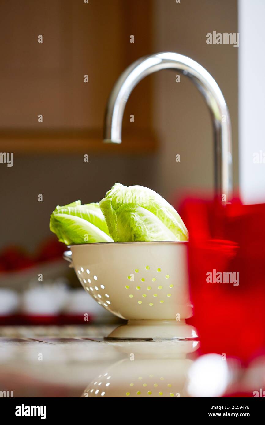 Colpo di foglie di cavolo in una ciotola di lavaggio sopra il banco della cucina Foto Stock