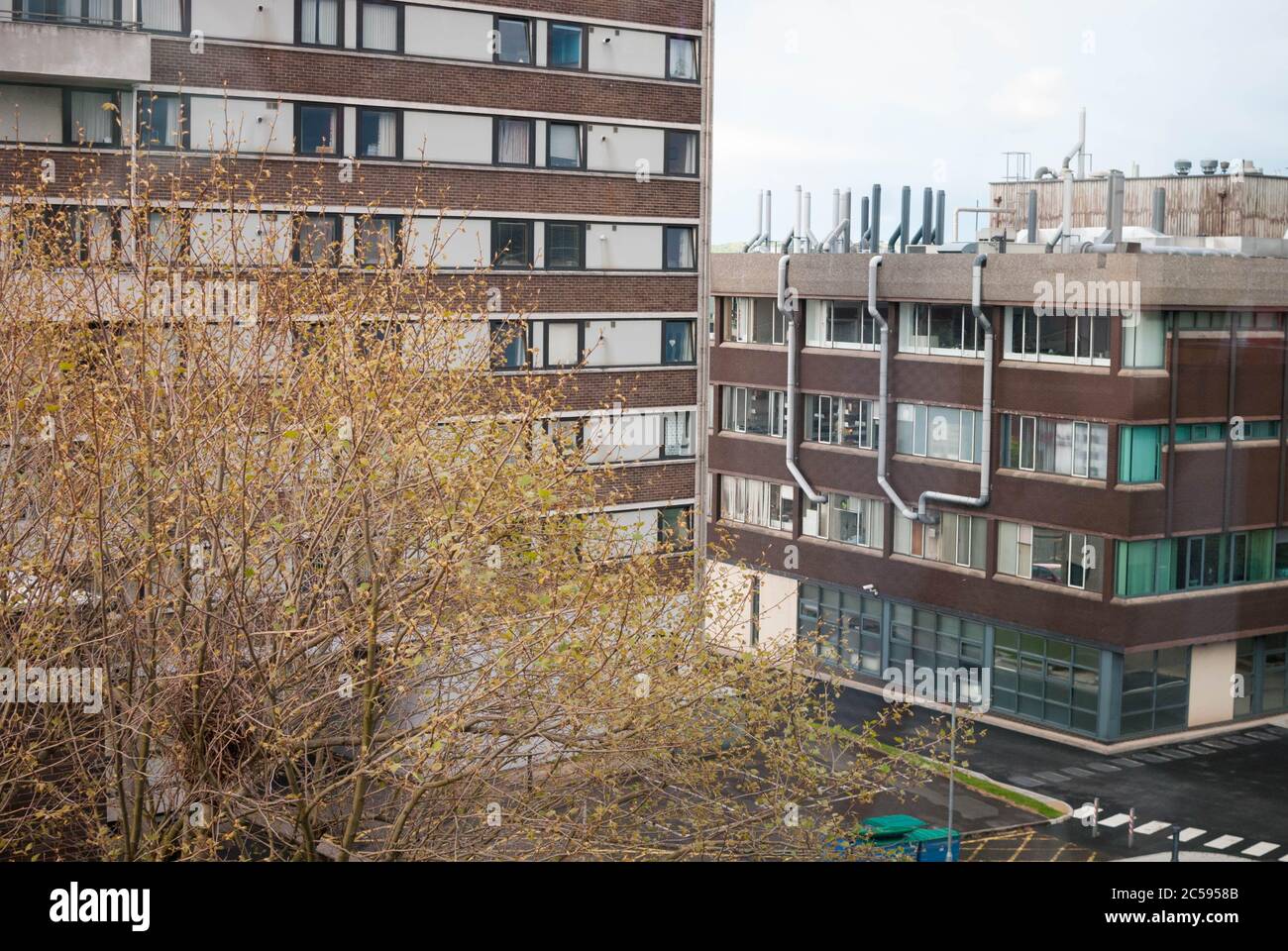 Edificio di facciata in un giorno nuvoloso a Belfast Foto Stock