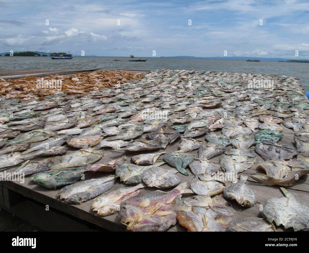 Indonesia, Sulawesi, Isole Togie, pesce che asciuga al sole Foto Stock