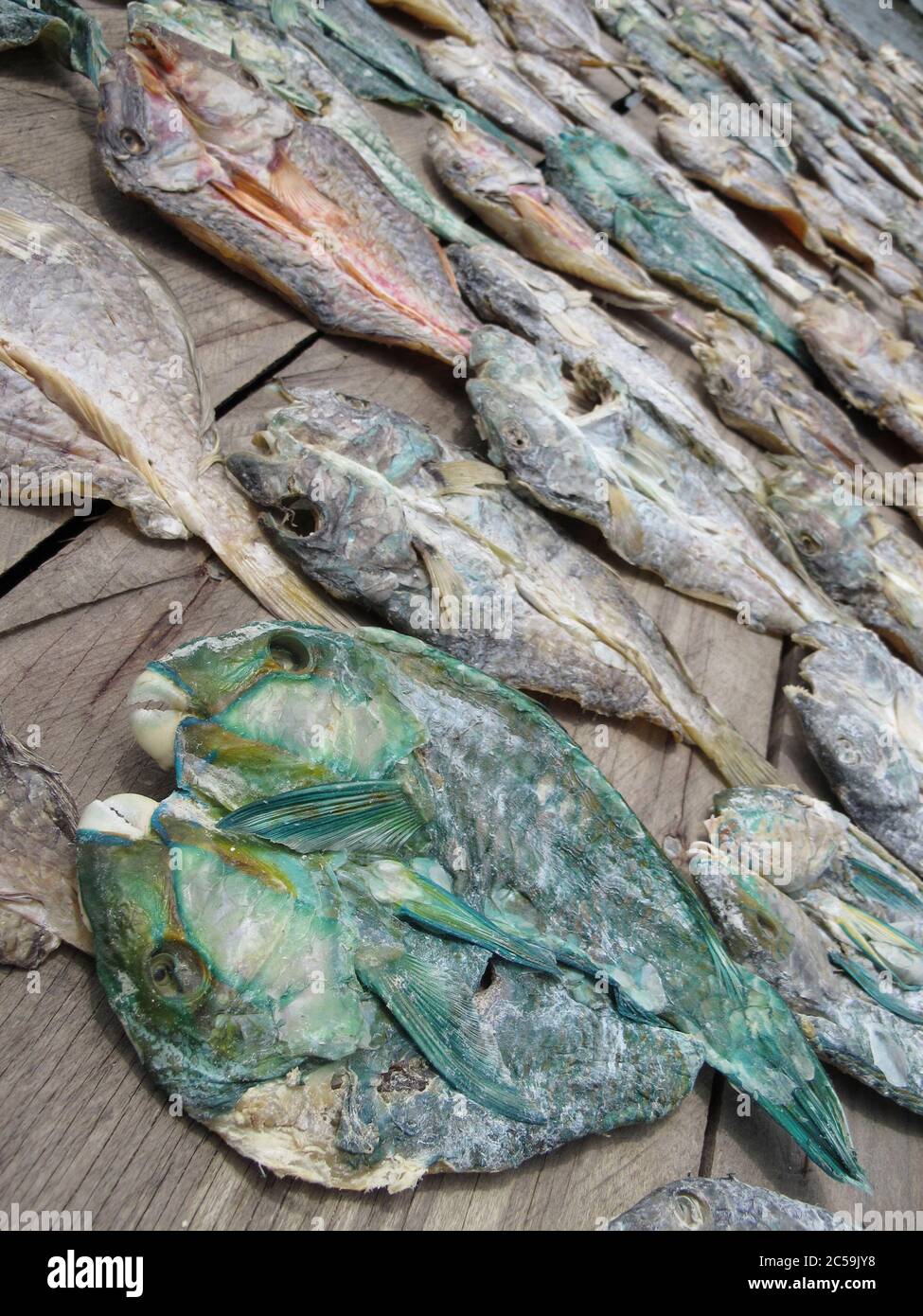 Indonesia, Sulawesi, Isole Togie, pesce che asciuga al sole Foto Stock