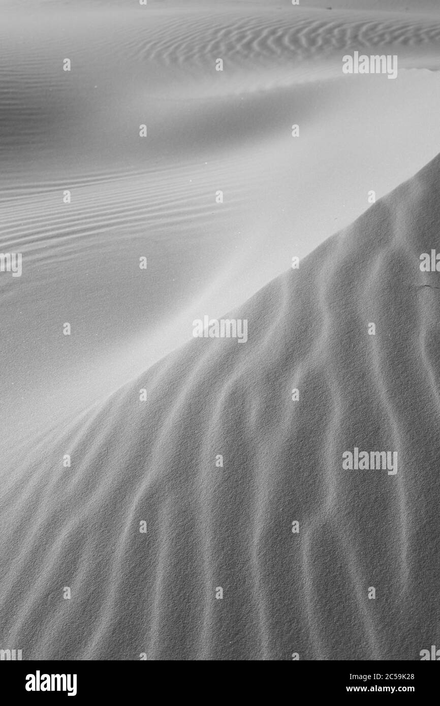 Dune di sabbia con increspature in bianco e nero Foto Stock