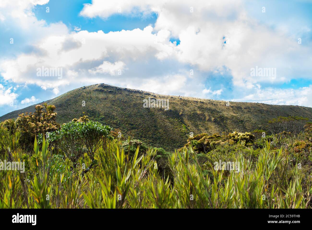 Montagna di Paramo. Una cima di montagna in un paramo con cielo blu Foto Stock