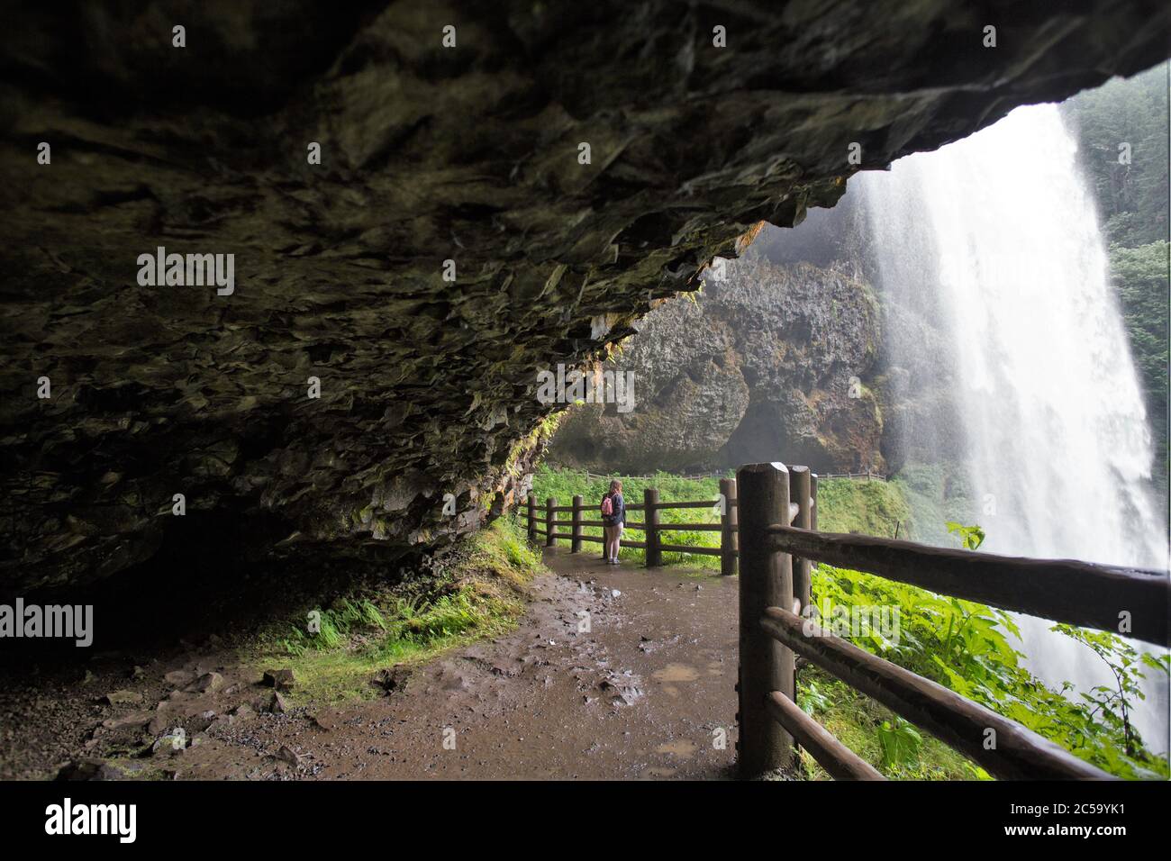 Una ragazza che si trova dietro South Falls nel Silver Falls state Park in Oregon, USA. Foto Stock