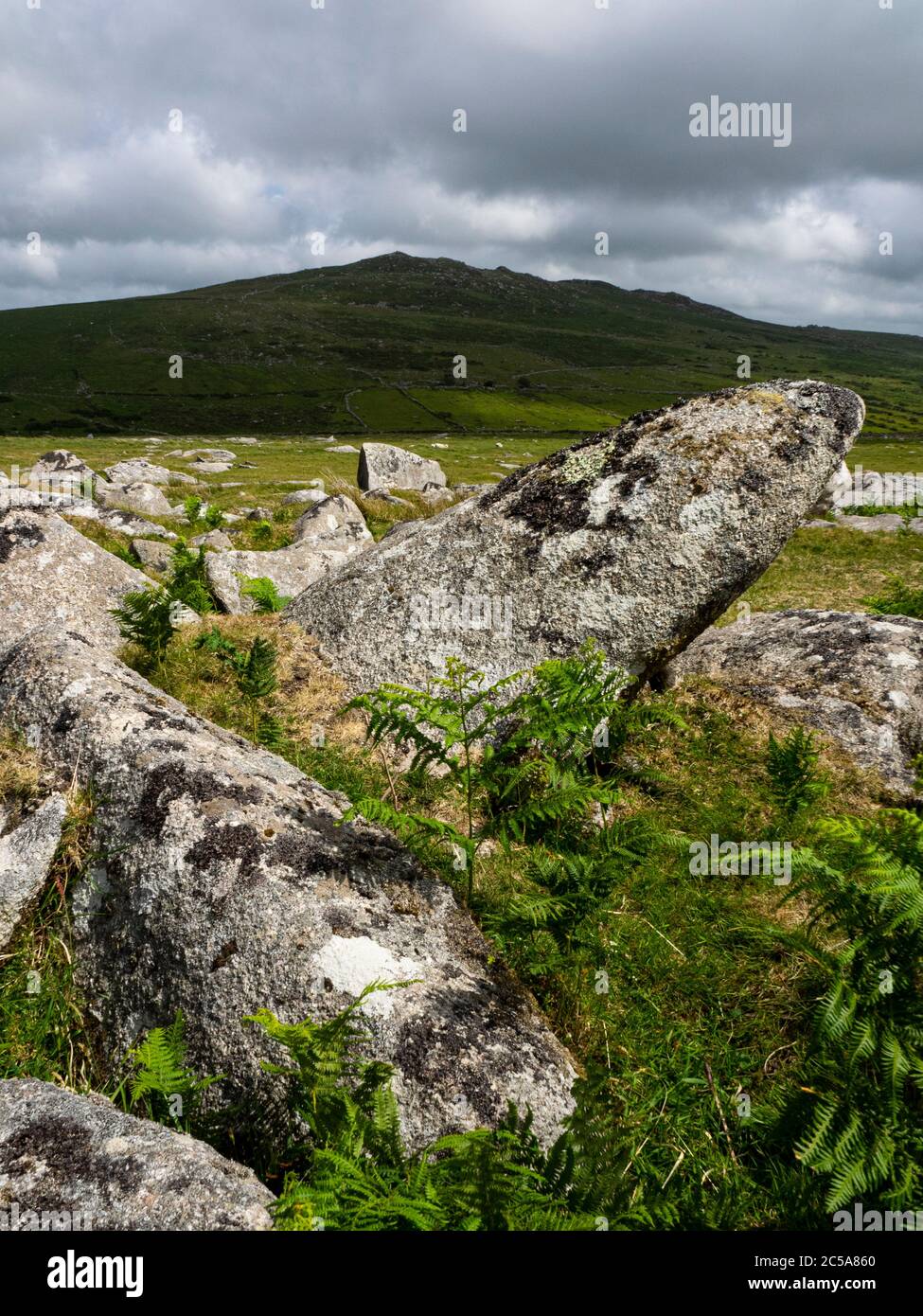Grandi rocce di granito su Bodmin Moor, Cornovaglia, Regno Unito Foto Stock