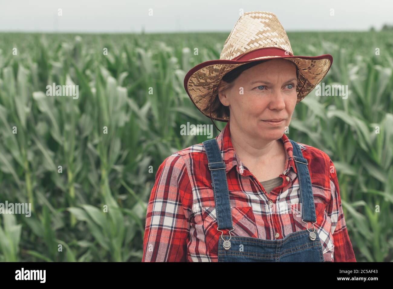 Ritratto di agricoltore femminile in piedi nel campo di mais, lavoratrice agricola donna in piantagione di mais Foto Stock