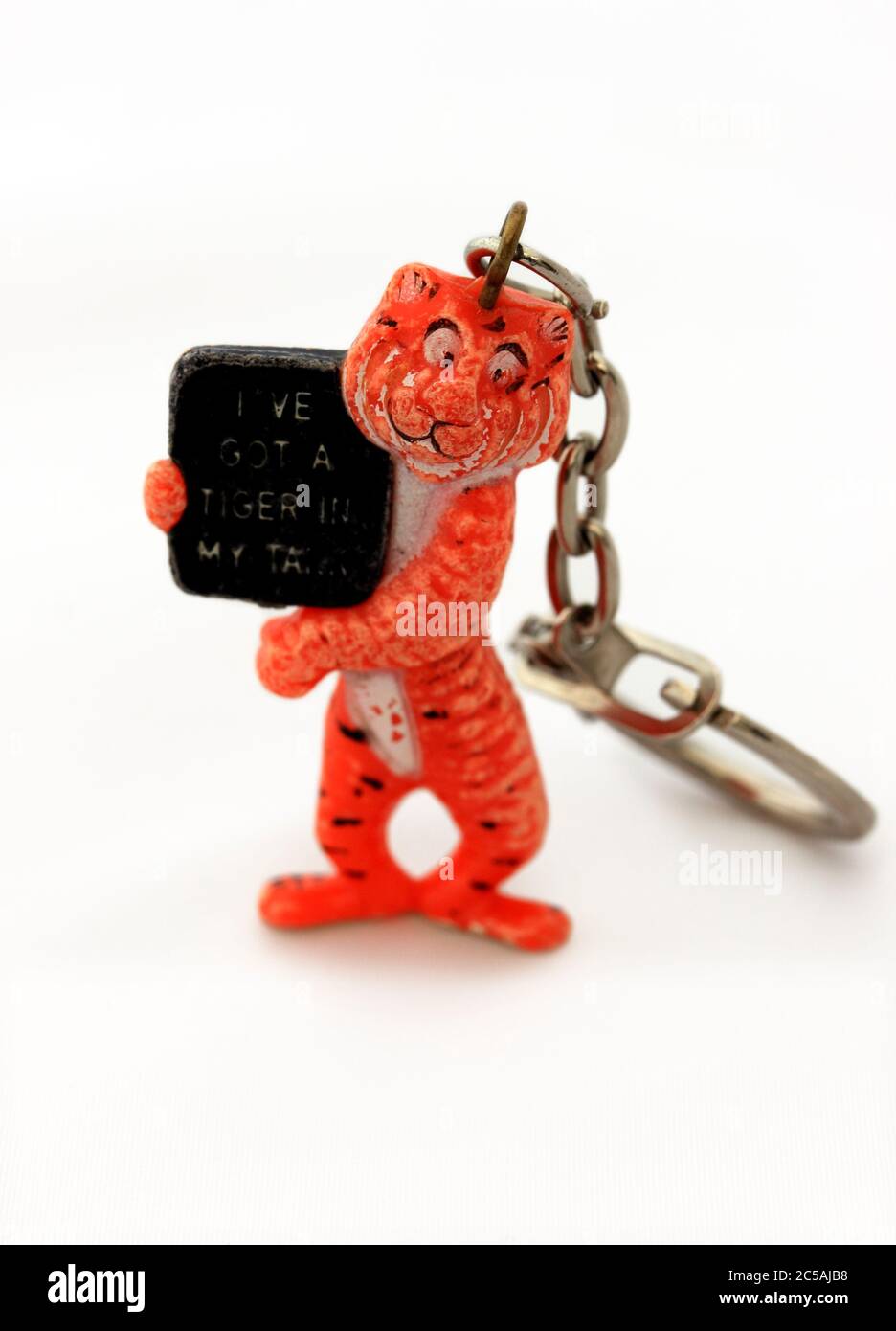 Portachiavi Tiger Foto Stock