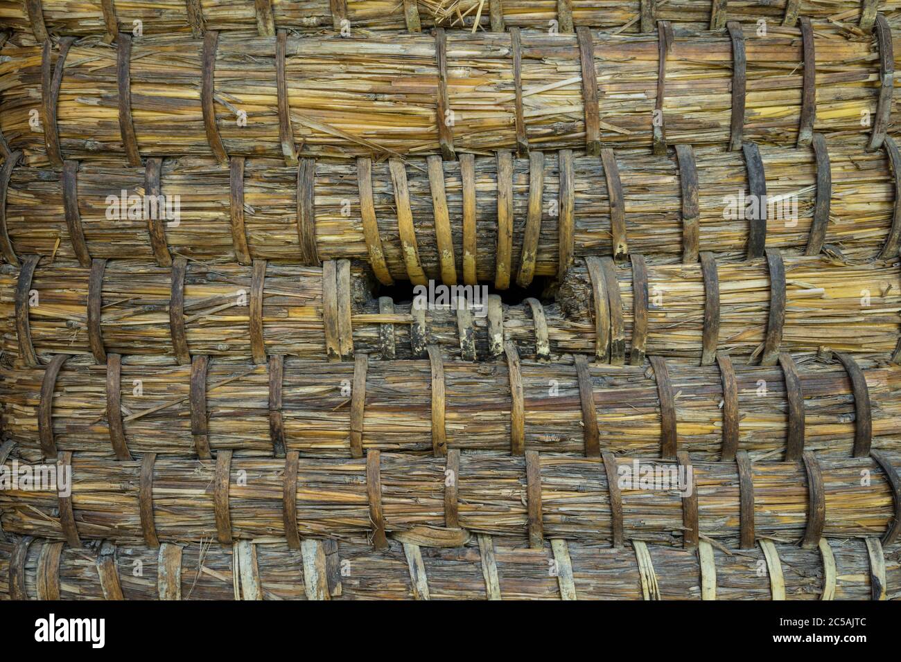dettaglio di una storica alveare Foto Stock