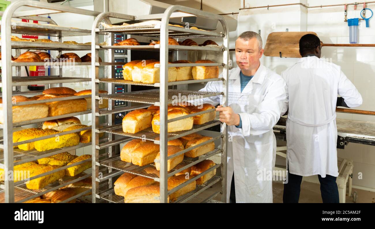 Panettiere esperto che lavora in panetteria piccola, trasportando pane  fresco cotto sul carrello porta-vassoi Foto stock - Alamy