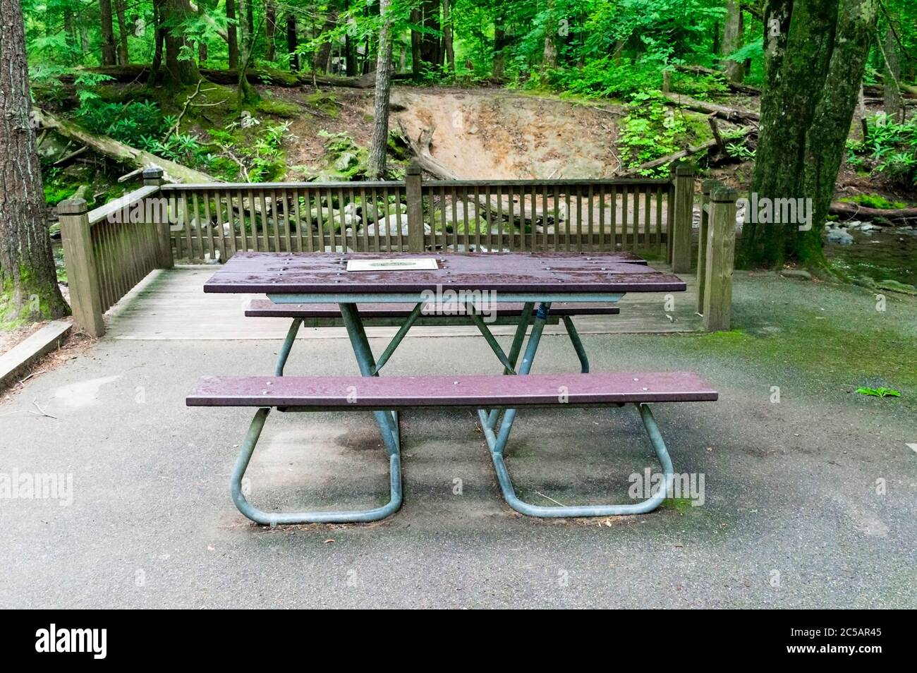 Colpo orizzontale di un tavolo da picnic in un'area boscosa con una recinzione dietro di esso. Foto Stock