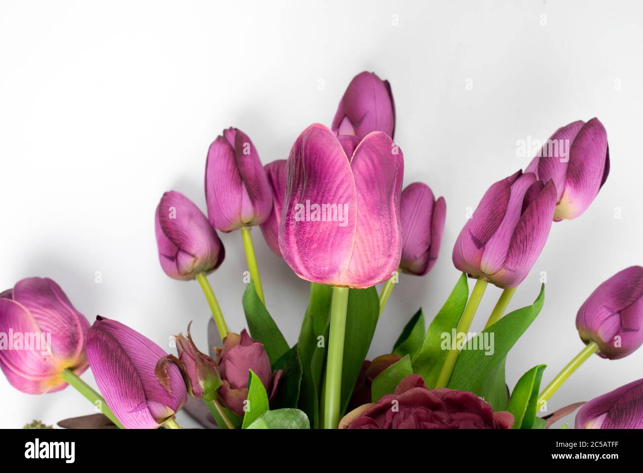 Bouquet di fiori di tulipani freschi su sfondo bianco Foto Stock