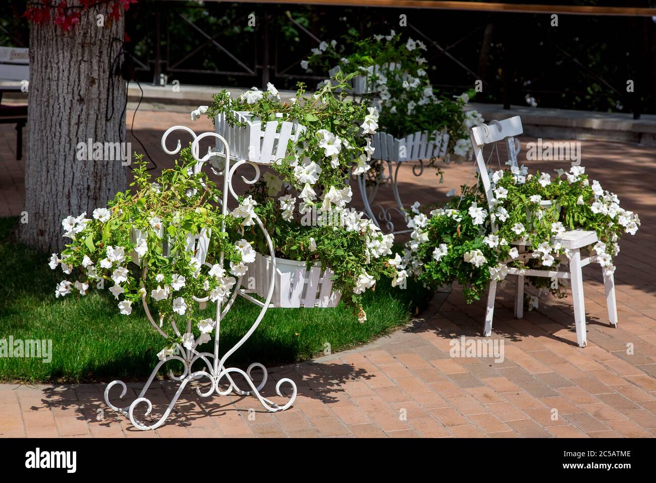 ferro bianco stand per vasi da fiori con fiori di petunia illuminati dalla luce solare in un parco con un marciapiede. Foto Stock