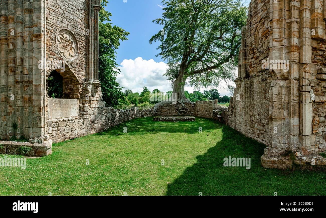 Rovine di Bayham Abbey, East Sussex, Inghilterra, Regno Unito - chiesa, capitolo casa e gatehouse Foto Stock