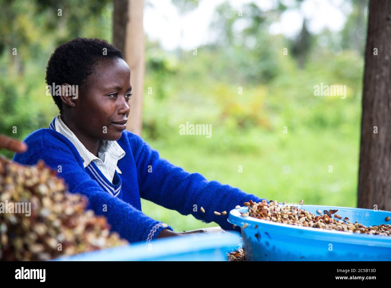 Visita alla cooperativa di caffè Gashonga nella regione del lago Kivu in Ruanda Foto Stock