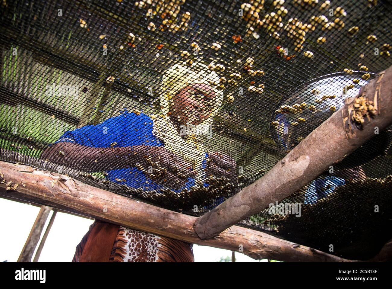Visita alla cooperativa di caffè Gashonga nella regione del lago Kivu in Ruanda Foto Stock