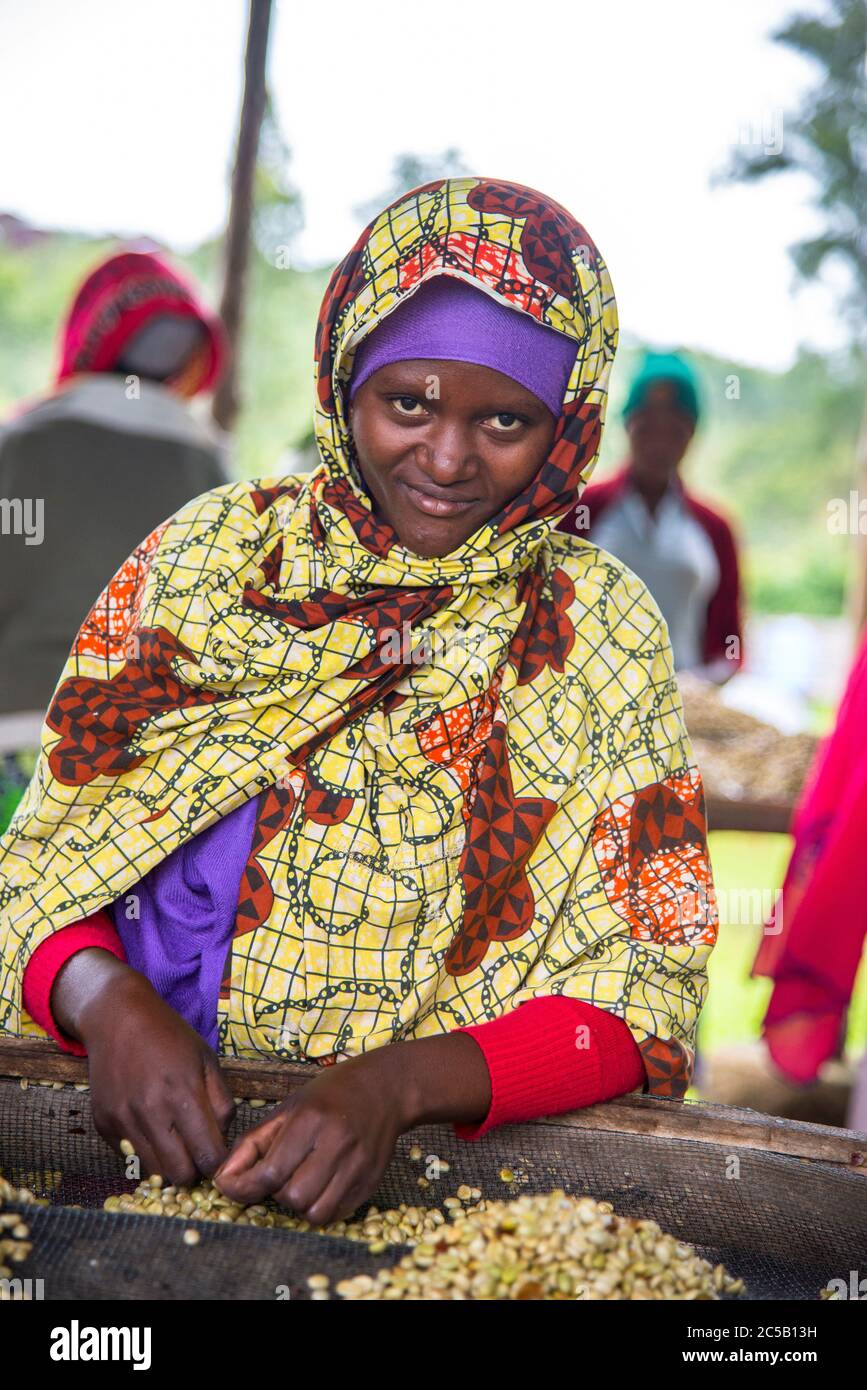 Visita alla cooperativa di caffè Gashonga nella regione del lago Kivu in Ruanda Foto Stock