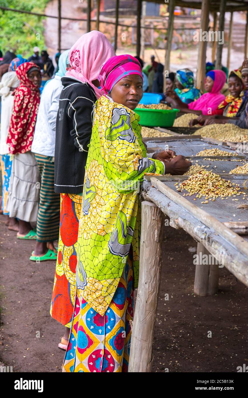 Visita alla cooperativa di caffè Gashonga nella regione del lago Kivu in Ruanda Foto Stock