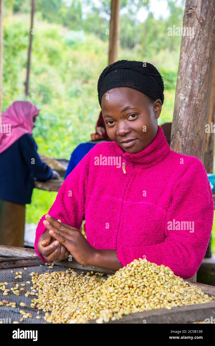 Visita alla cooperativa di caffè Gashonga nella regione del lago Kivu in Ruanda Foto Stock