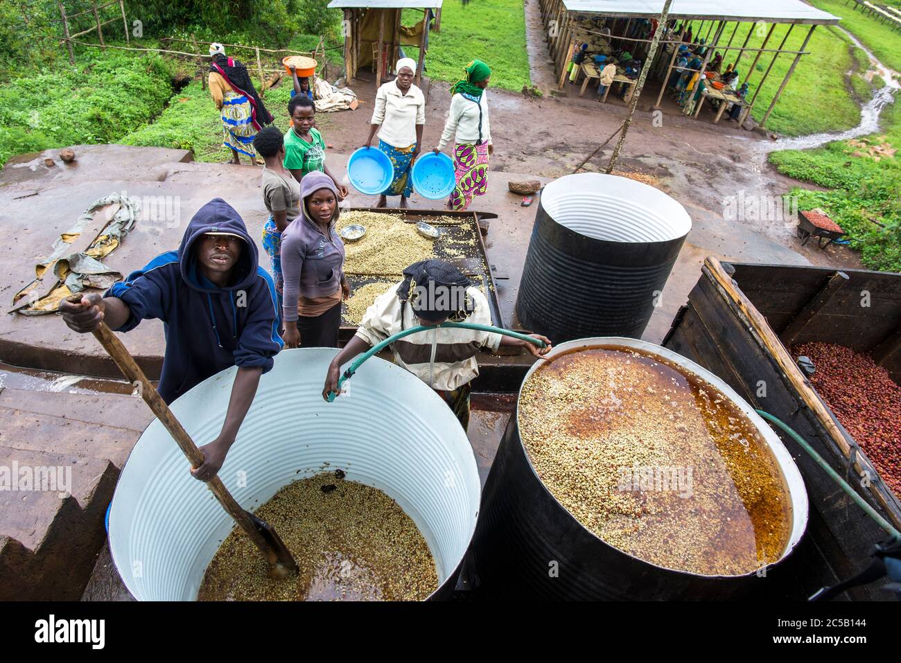 Visita alla cooperativa di caffè Gashonga nella regione del lago Kivu in Ruanda Foto Stock