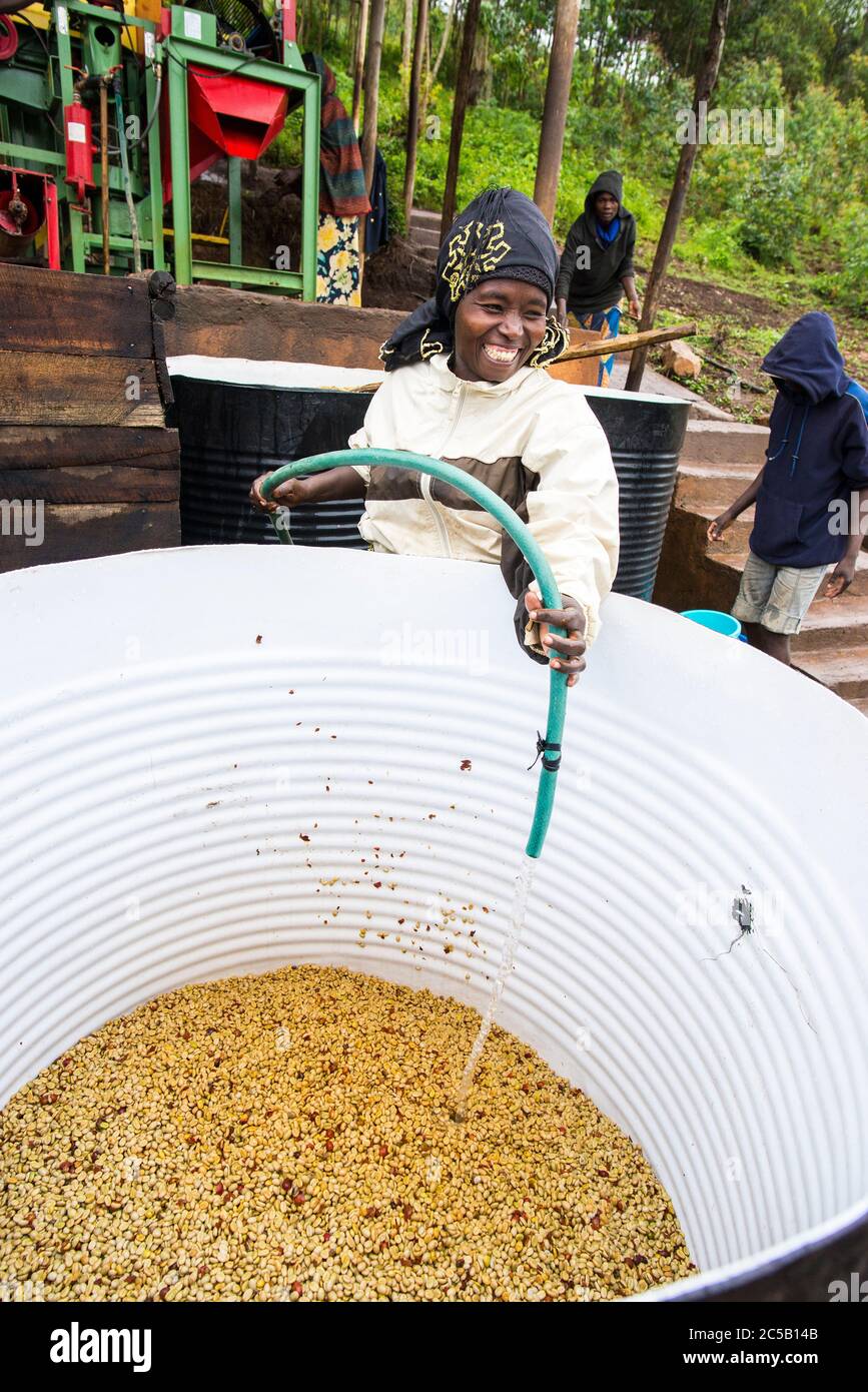 Visita alla cooperativa di caffè Gashonga nella regione del lago Kivu in Ruanda Foto Stock