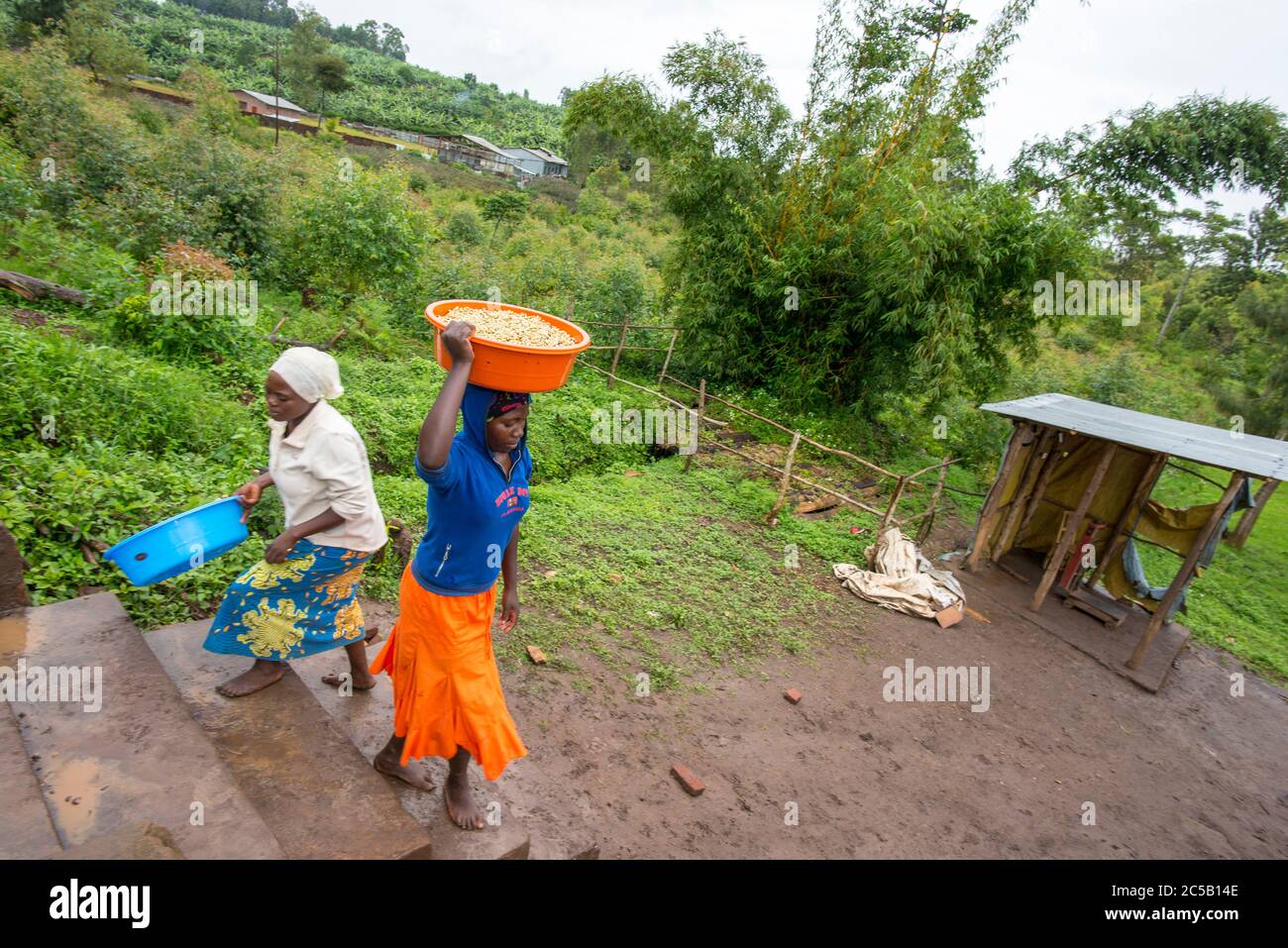 Visita alla cooperativa di caffè Gashonga nella regione del lago Kivu in Ruanda Foto Stock