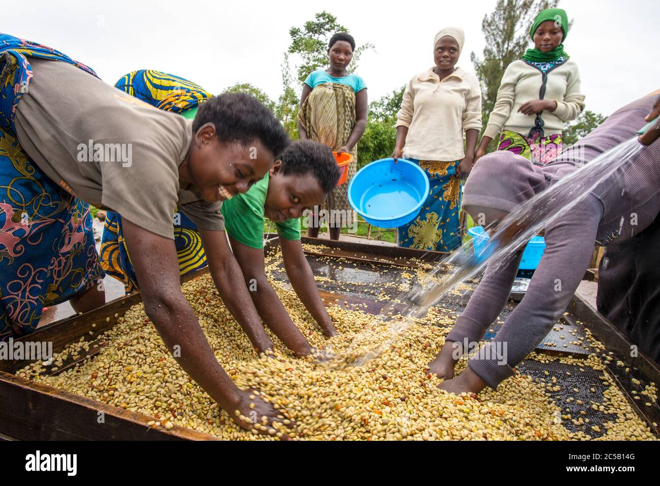 Visita alla cooperativa di caffè Gashonga nella regione del lago Kivu in Ruanda Foto Stock