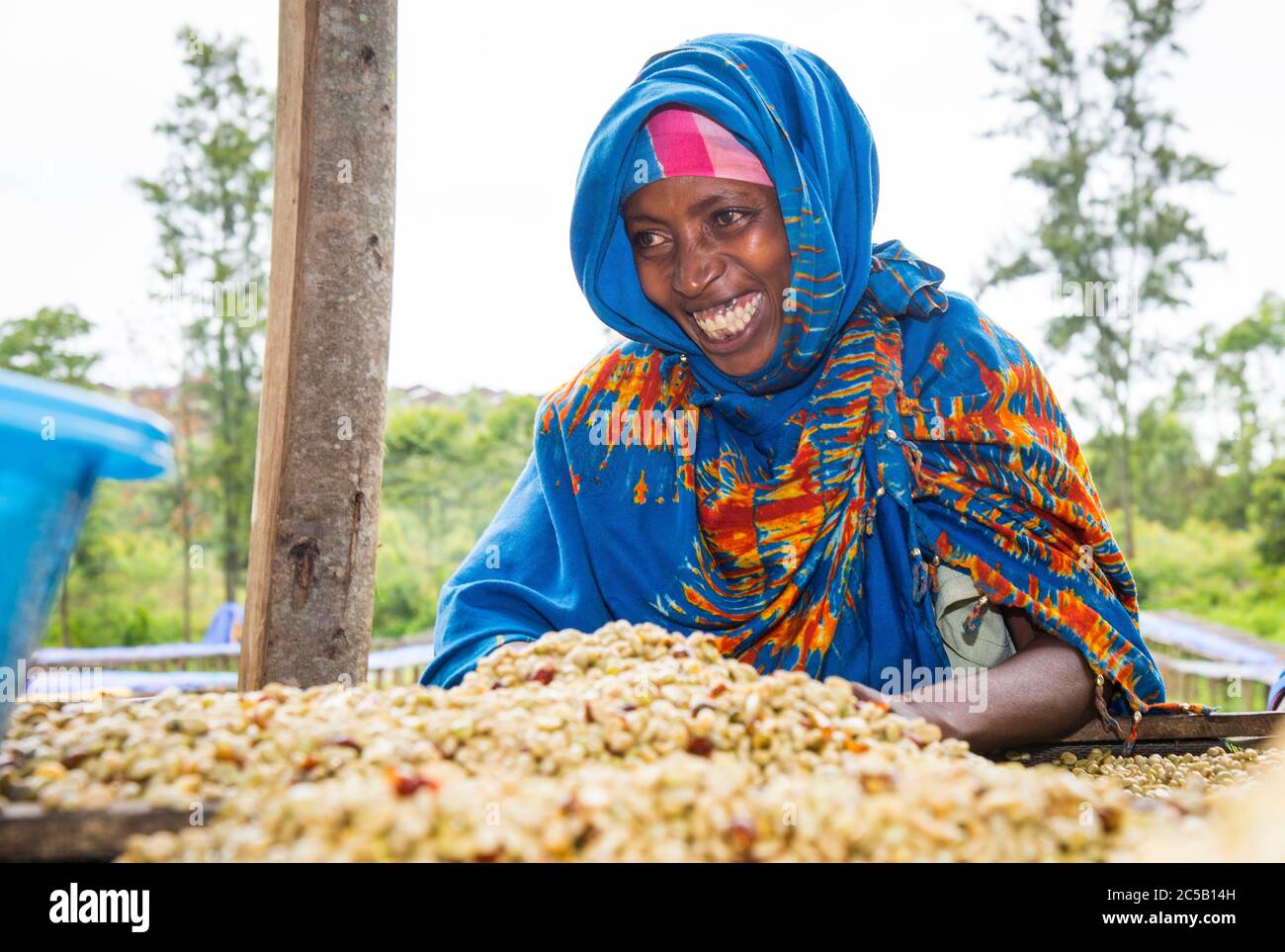 Visita alla cooperativa di caffè Gashonga nella regione del lago Kivu in Ruanda Foto Stock