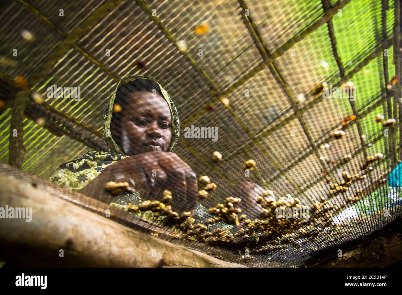 Visita alla cooperativa di caffè Gashonga nella regione del lago Kivu in Ruanda Foto Stock