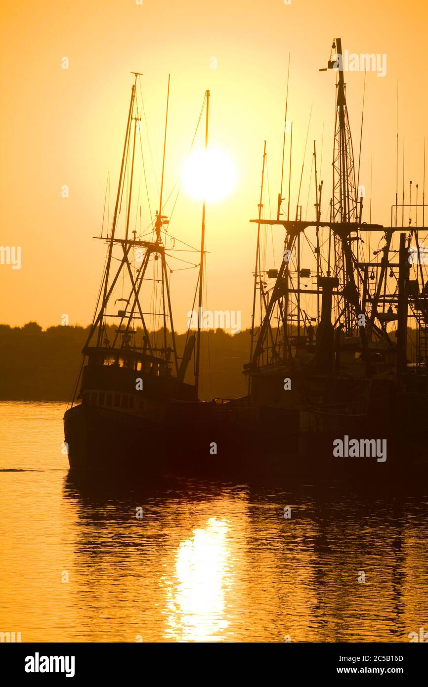 Barche da pesca,città di Morro Bay,San Luis Obispo County, California , Stati Uniti Foto Stock