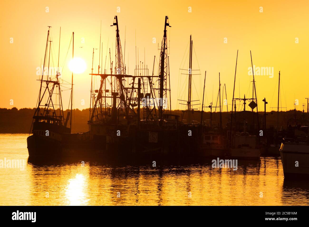 Barche da pesca,città di Morro Bay,San Luis Obispo County, California , Stati Uniti Foto Stock
