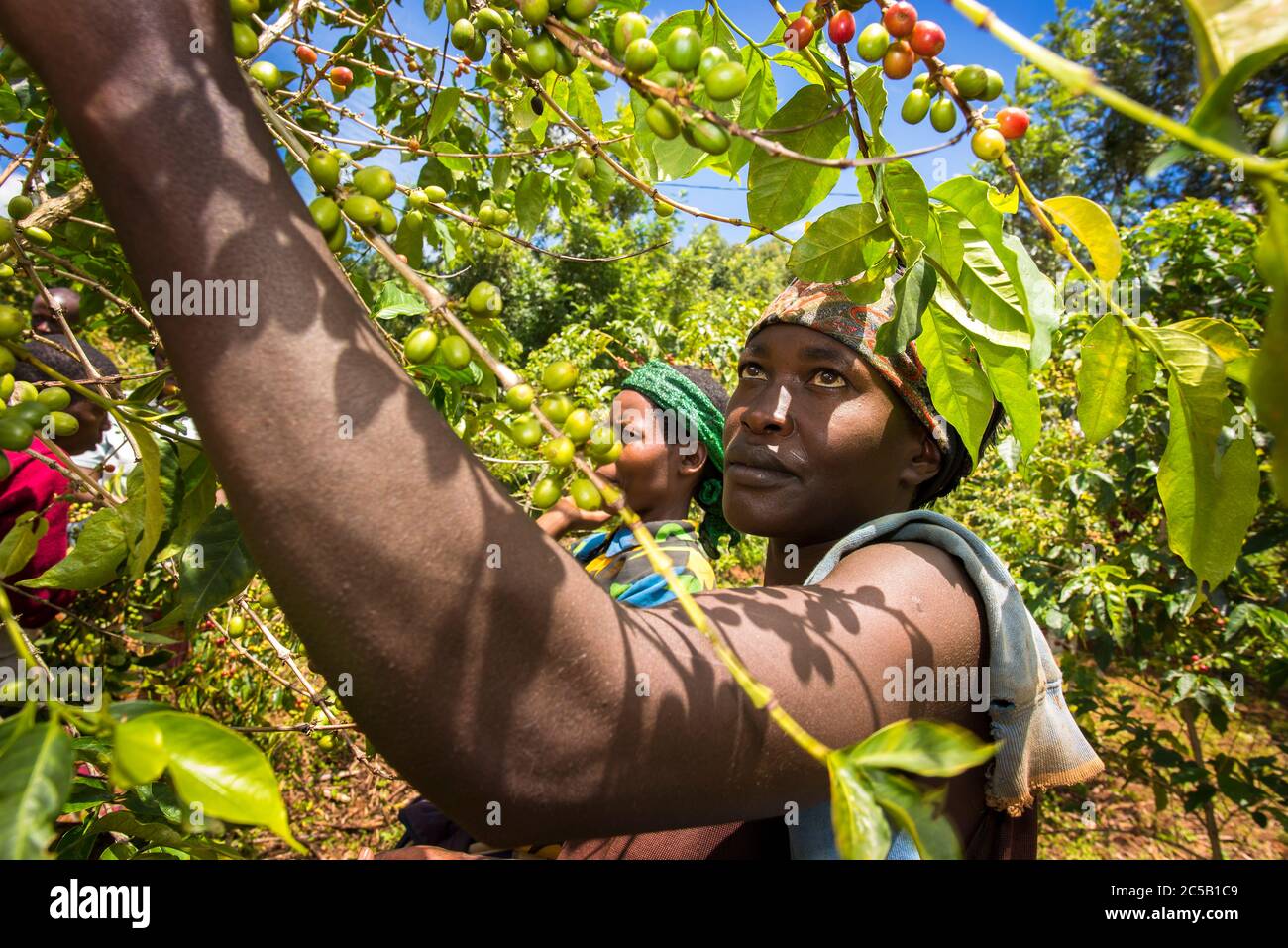 Stazione di lavaggio di Gisuma e agricoltori del collettivo Foto Stock