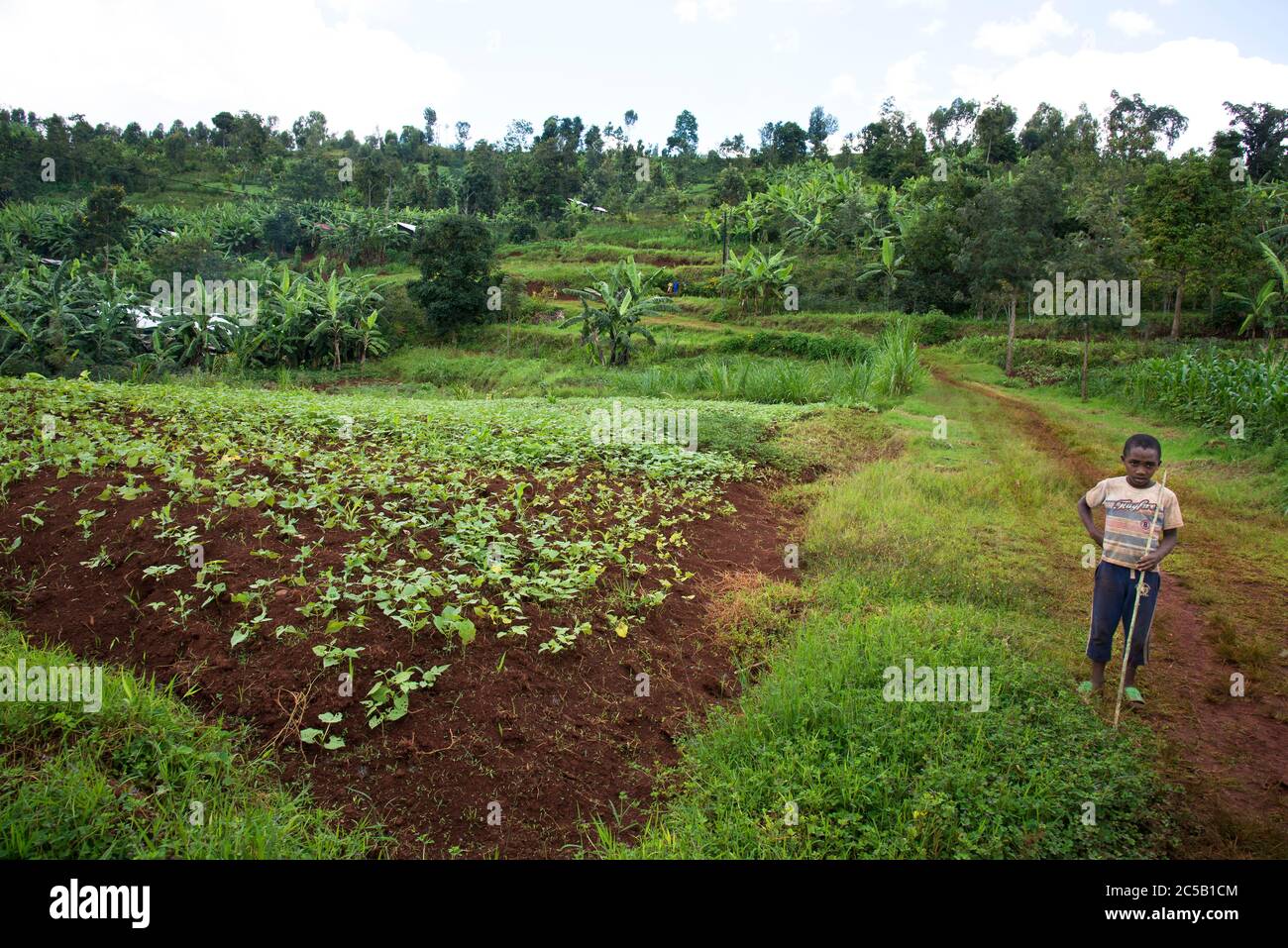 Stazione di lavaggio di Gisuma e agricoltori del collettivo Foto Stock