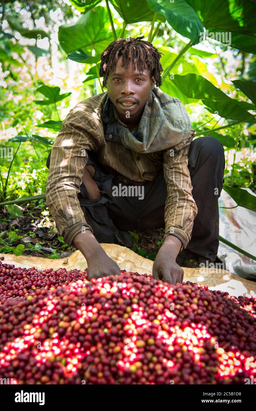 Stazione di lavaggio di Gisuma e agricoltori del collettivo Foto Stock