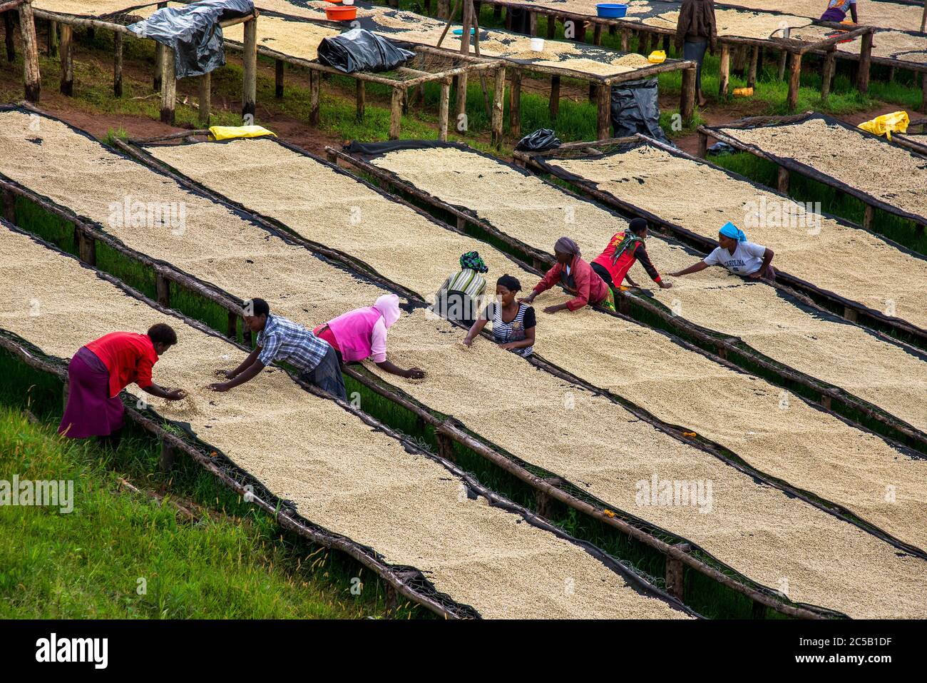 Stazione di lavaggio di Gisuma e agricoltori del collettivo Foto Stock