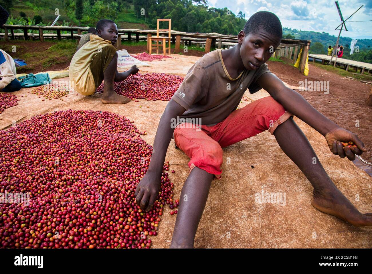 Stazione di lavaggio di Gisuma e agricoltori del collettivo Foto Stock