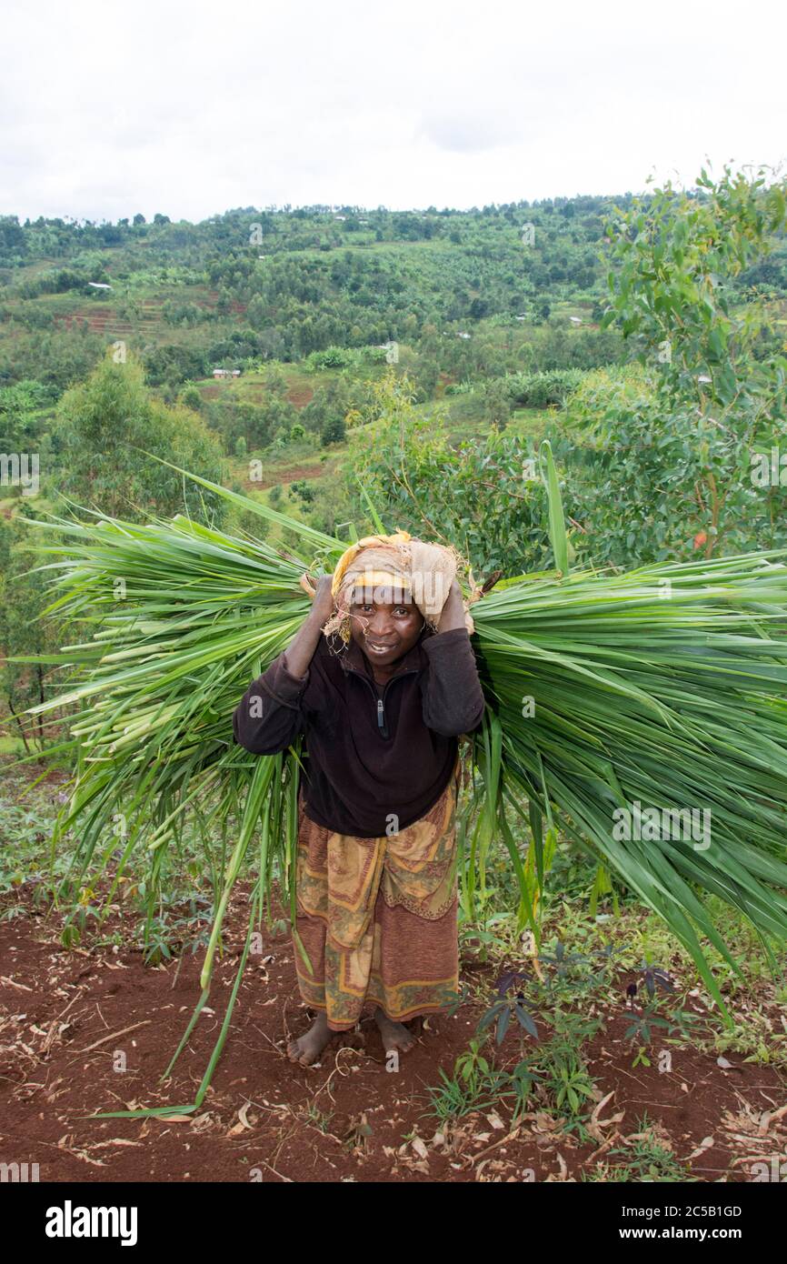 Stazione di lavaggio Kinyaga e visita ai campi agricoli e casa Cyangugu Ruanda Foto Stock