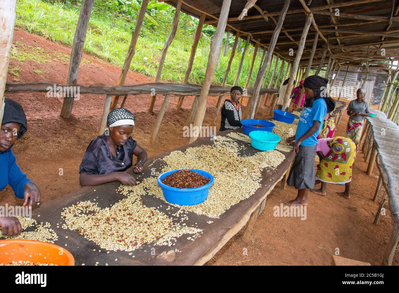 Stazione di lavaggio Kinyaga e visita ai campi agricoli e casa Cyangugu Ruanda Foto Stock
