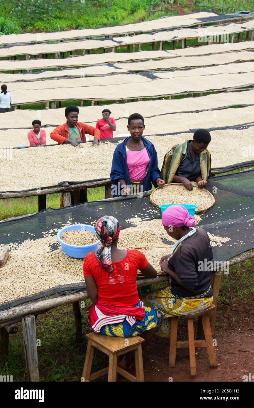 Stazione di lavaggio Kinyaga e visita ai campi agricoli e casa Cyangugu Ruanda Foto Stock