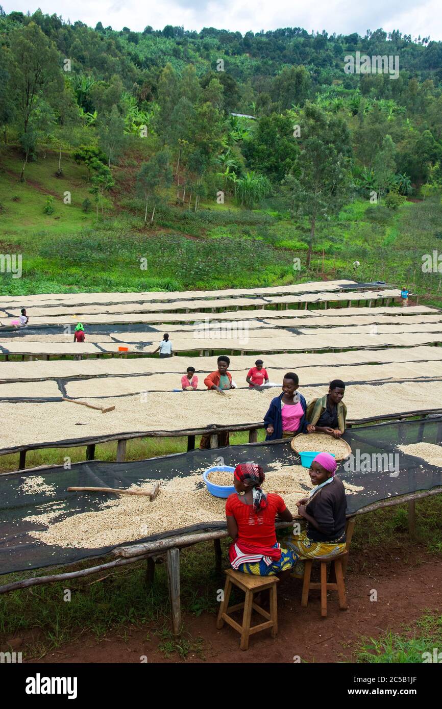 Stazione di lavaggio Kinyaga e visita ai campi agricoli e casa Cyangugu Ruanda Foto Stock