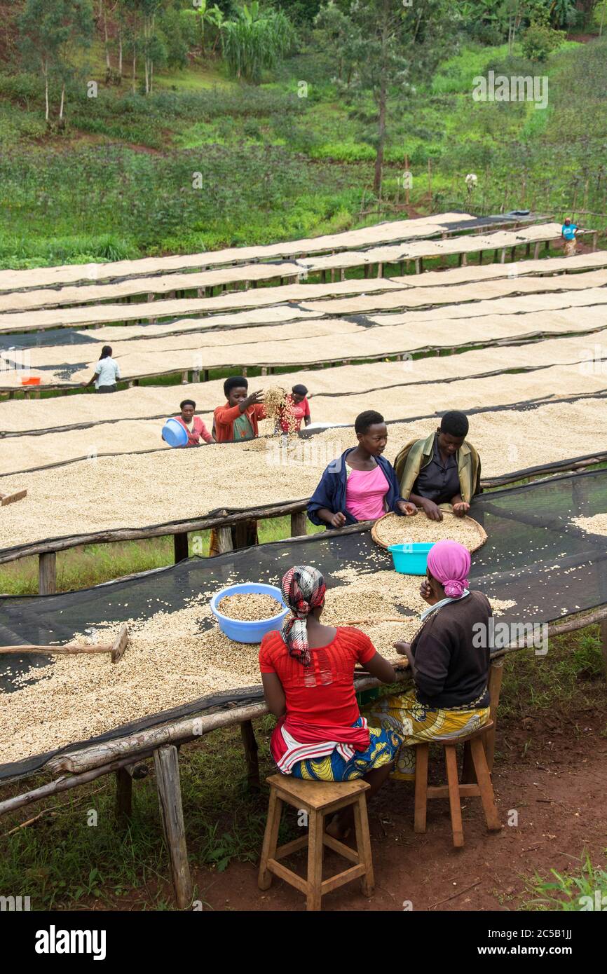Stazione di lavaggio Kinyaga e visita ai campi agricoli e casa Cyangugu Ruanda Foto Stock