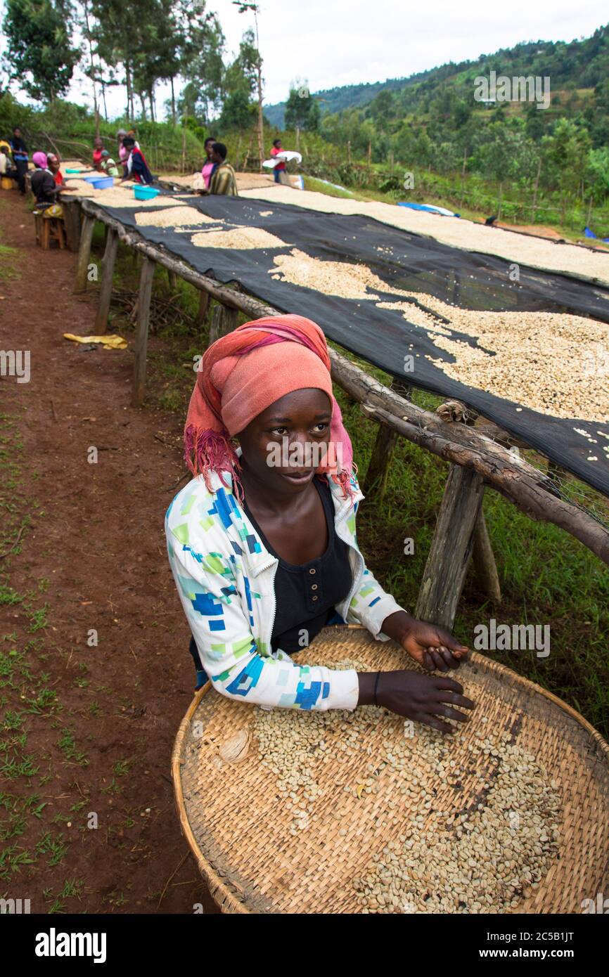 Stazione di lavaggio Kinyaga e visita ai campi agricoli e casa Cyangugu Ruanda Foto Stock