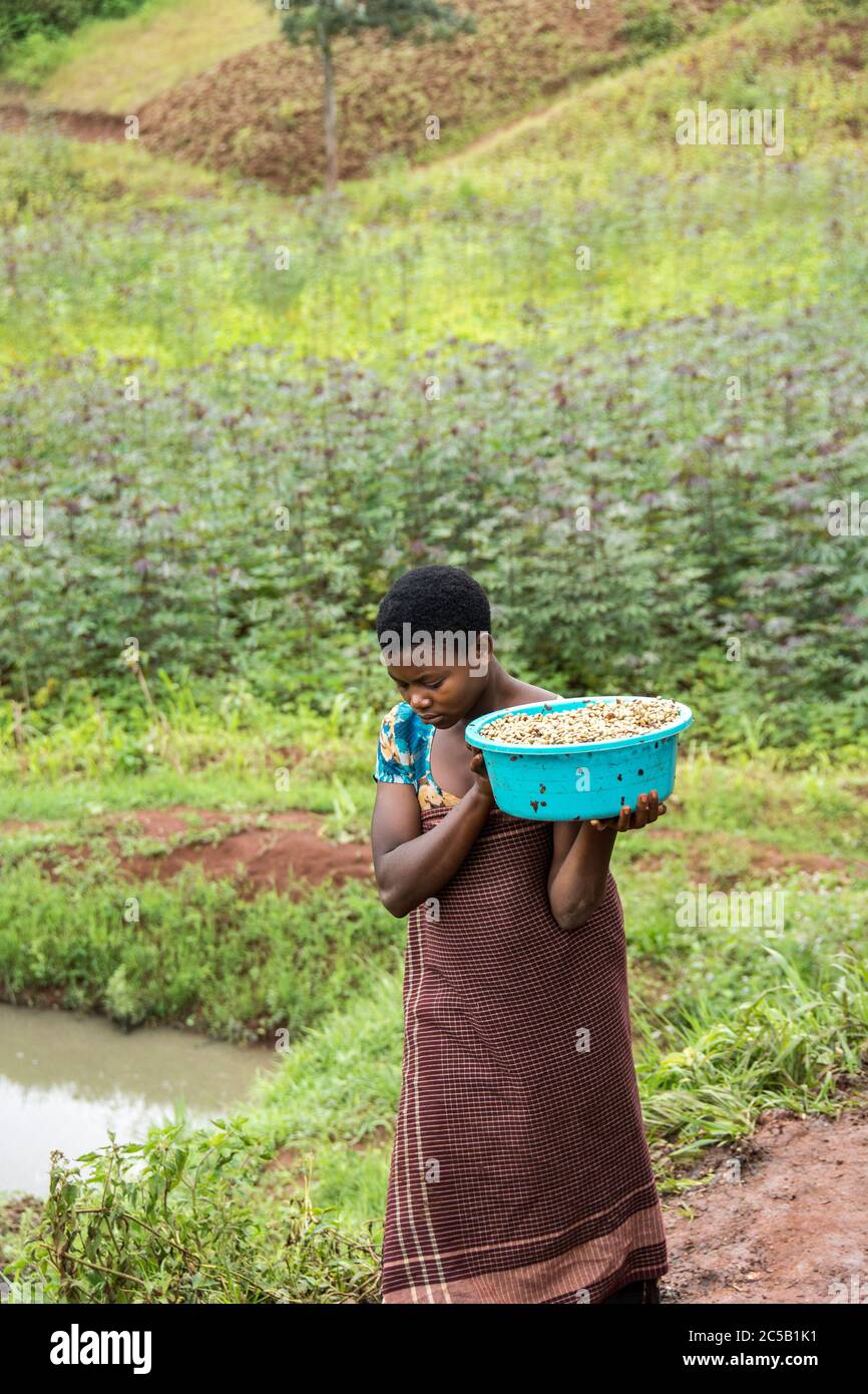 Stazione di lavaggio Kinyaga e visita ai campi agricoli e casa Cyangugu Ruanda Foto Stock