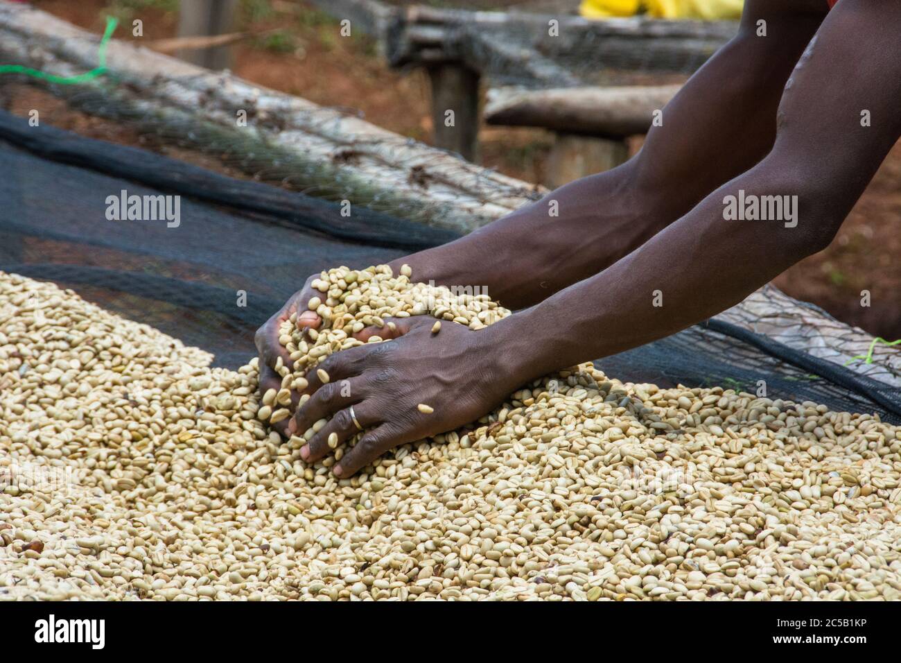 Stazione di lavaggio Kokabanya e bonus monetari con Rob Fiedler dei commercianti di Africana Foto Stock
