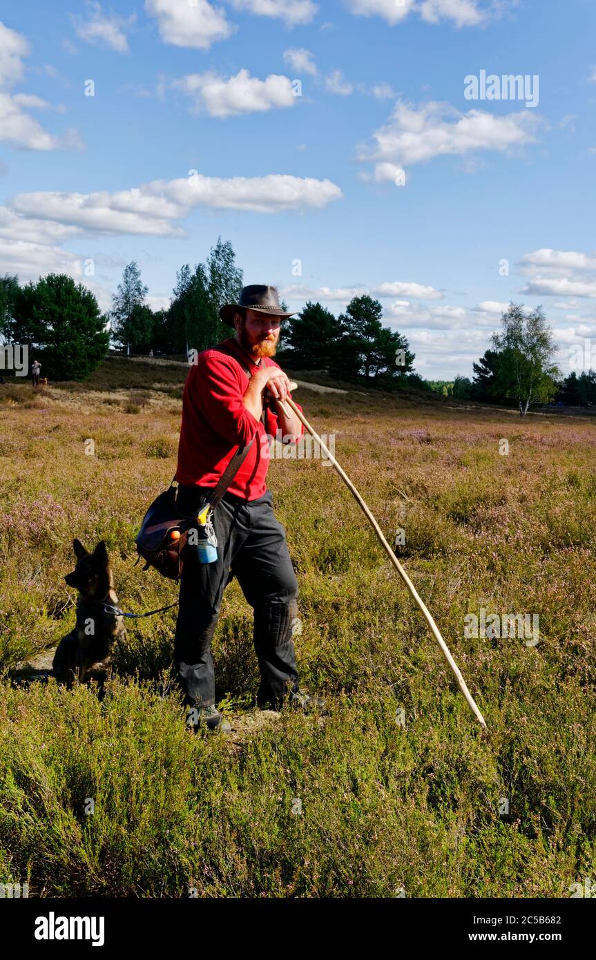 Nemitz brughiera nel parco naturale Elbhöhen-Wendland: pastore con cane da pastore, distretto di Lüchow-Dannenberg, bassa Sassonia, Germania Foto Stock