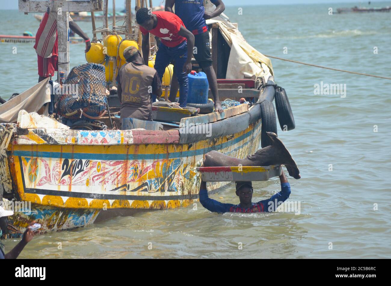 Squalo di testa di martello atterrato da pescatori artigianali a Mbour  spiaggia, Senegal Foto stock - Alamy