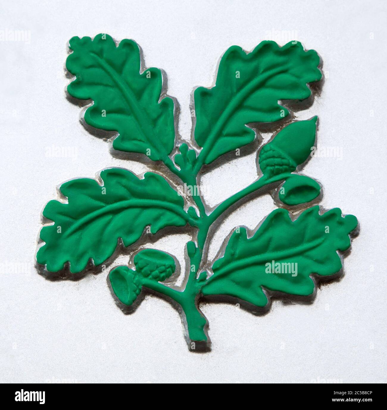 National Trust, logo, dettaglio, verde, foglie di quercia, ghiande Foto Stock