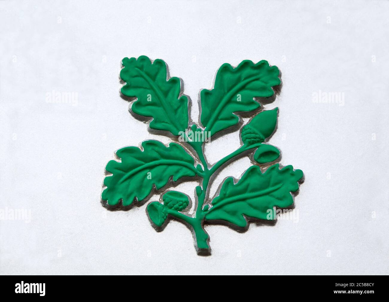 National Trust, logo, dettaglio, verde, foglie di quercia, ghiande, Inghilterra, Regno Unito Foto Stock