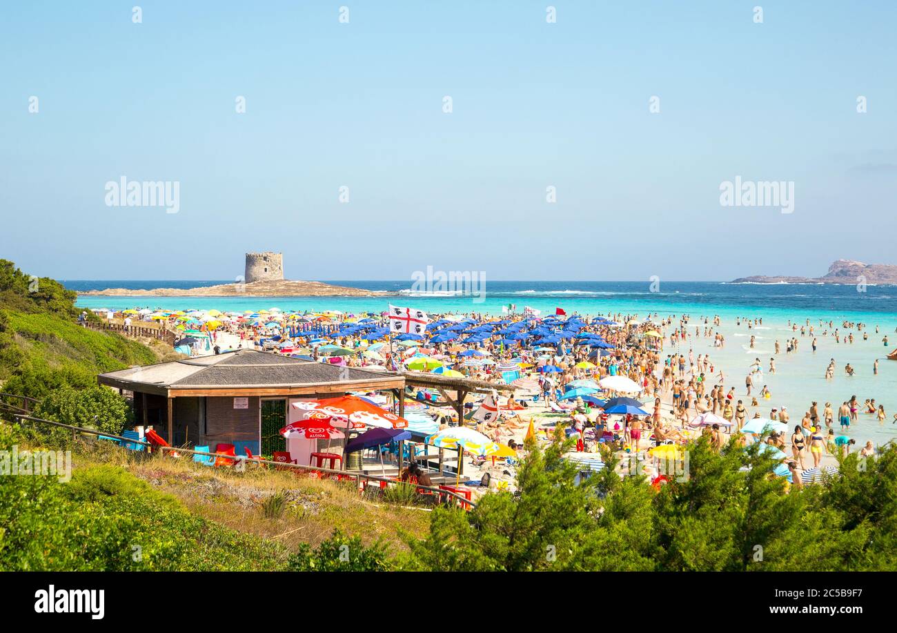 Spiaggia la Pelosa con la Torre pelosa sul retro. Stintino, Italia. Europa. Foto Stock