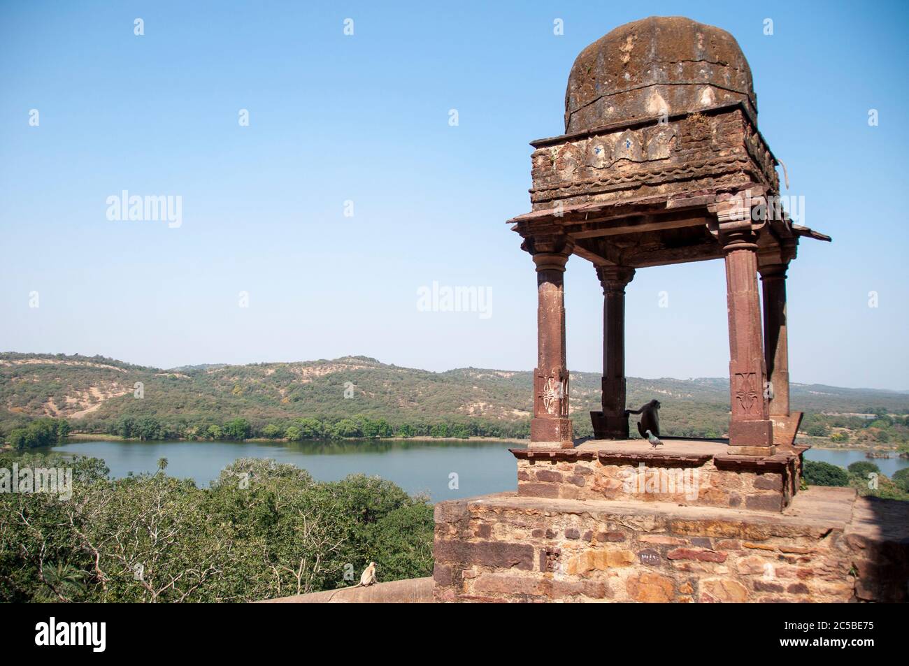 Il Forte di Ranthambore si trova all'interno del Parco Nazionale di Ranthambore, vicino alla città di Sawai Madhopur, il parco essendo l'ex terreno di caccia del Maharaja Foto Stock