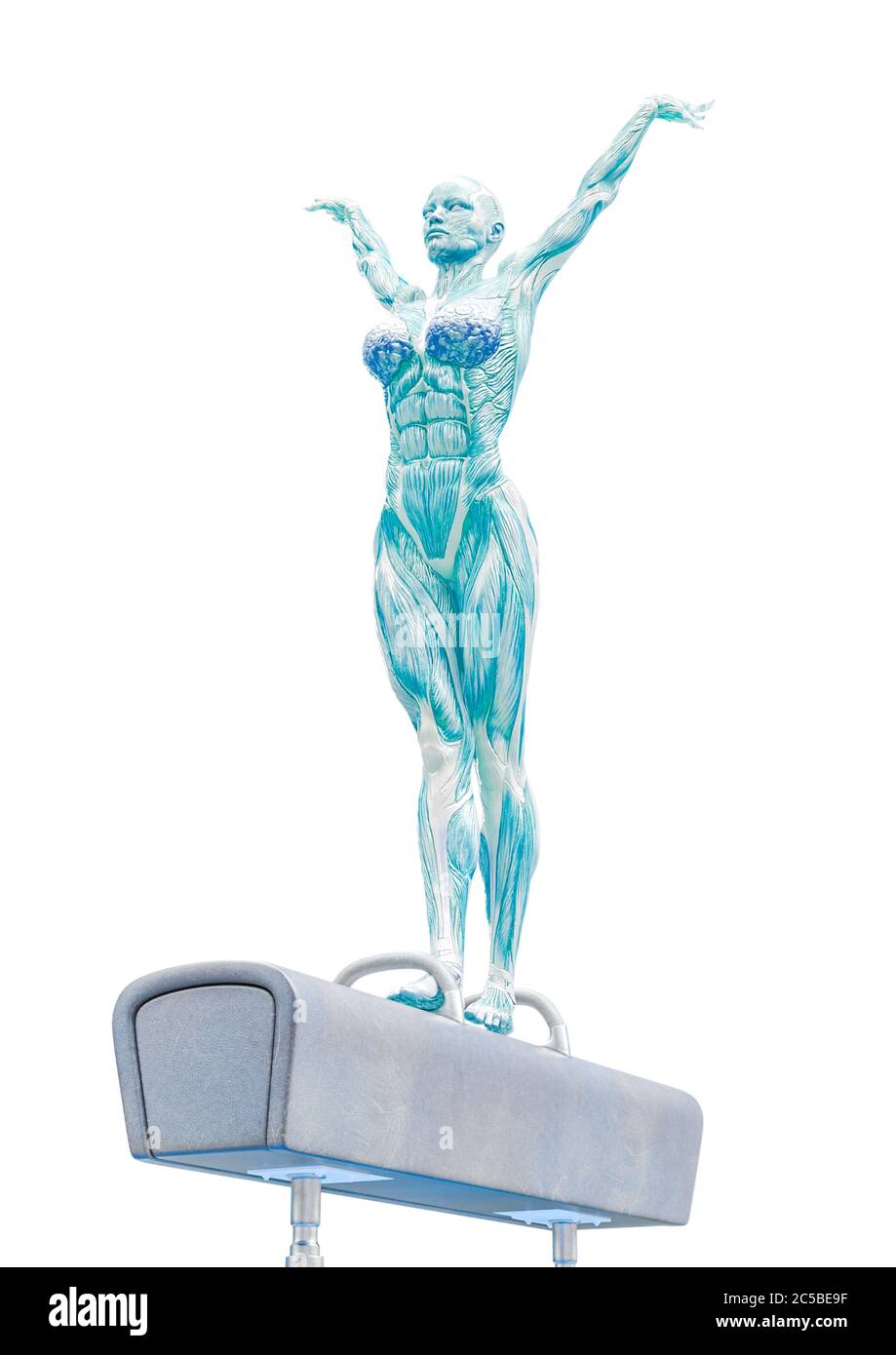muscolo donna che fa un ginnastica su cavallo pommel in primo piano sfondo bianco, illustrazione 3d Foto Stock muscolo donna che fa un ginnastica su cavallo pommel in primo piano sfondo bianco, illustrazione 3d Foto Stock