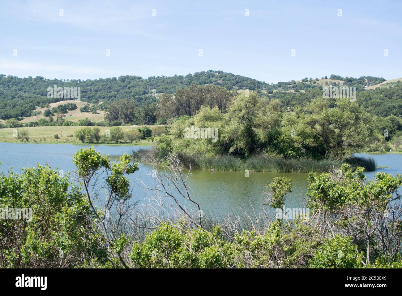 Guardando verso ovest sul lago Grant, con un'isola al centro, montagne all'orizzonte, piccoli alberi e arbusti in primo piano Foto Stock